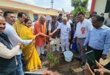 एक पेड़ मां के नाम अभियान के तहत् धनोरा स्कूल में किया वृक्षा रोपण...