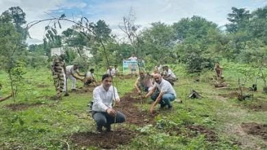 हिरीं खदान में "एक पेड़ माँ के नाम” अभियान के तहत वृक्षारोपण...