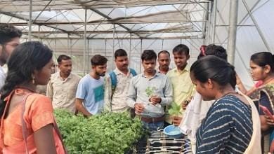 नर्सरी प्रबंधन पर कौशल विकास प्रशिक्षण में भाग लेने का सुनहरा मौका... 3 नर्सरी प्रबंधन पर कौशल विकास प्रशिक्षण में भाग लेने का सुनहरा मौका...