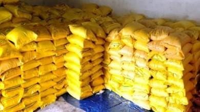 छत्तीसगढ़ को स्किल हब बनाने की दिशा में बड़ा कदम...