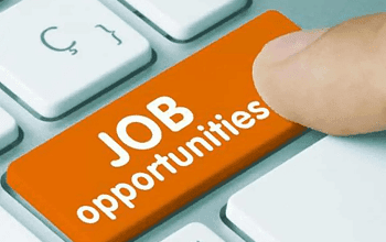 Job Alert: KVS–NVS में 14 हजार से अधिक भर्तियां शुरू, टेरिटोरियल आर्मी रैली भी चालू – जानें पूरी अपडेट...