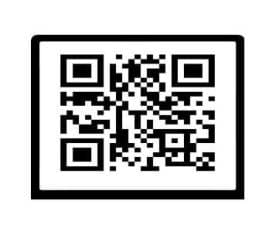 यशड्रीम रियल इस्टेट लिमिटेड के निवेशकों को राशि वापस...