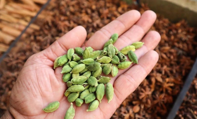 हर रोज चबाएं 2 हरी इलायची, छूमंतर हो जाएंगी ये समस्याएं, सेवन करने का सही तरीका क्या है?