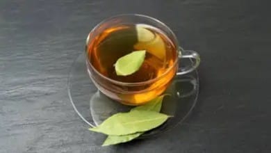 सेहत का खजाना है इस हरे पत्ते की बनी चाय, वजन घटाने से अनिद्रा दूर करने तक में है कारगर