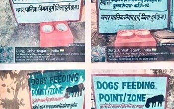 सुप्रीम कोर्ट के आदेश पर दुर्ग नगर निगम की बड़ी पहल, 60 वार्डों में बने डॉग फीडिंग ज़ोन...