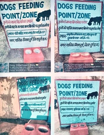 सुप्रीम कोर्ट के आदेश पर दुर्ग नगर निगम की बड़ी पहल, 60 वार्डों में बने डॉग फीडिंग ज़ोन... 1 सुप्रीम कोर्ट के आदेश पर दुर्ग नगर निगम की बड़ी पहल, 60 वार्डों में बने डॉग फीडिंग ज़ोन...