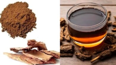 अर्जुन की छाल का पानी पीने के फायदे और सेवन का सही तरीका क्या है, जान लें कितने लगातार पीना चाहिए?