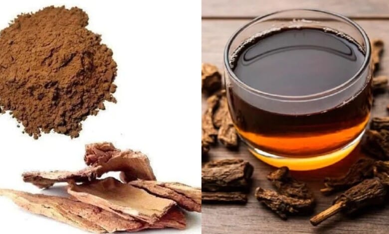 अर्जुन की छाल का पानी पीने के फायदे और सेवन का सही तरीका क्या है, जान लें कितने लगातार पीना चाहिए?