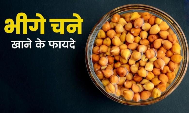 सुबह-सुबह खा लीजिए भीगे हुए चने, बढ़ जाएगा स्टैमिना, शरीर को मिलेंगे ये कमाल के फायदे 1 सुबह-सुबह खा लीजिए भीगे हुए चने, बढ़ जाएगा स्टैमिना, शरीर को मिलेंगे ये कमाल के फायदे