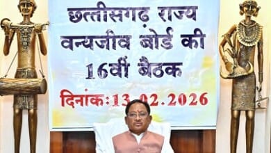 वन्यजीवों के प्राकृतिक आवास की सुरक्षा और सह-अस्तित्व के सिद्धांतों के अनुरूप हो सभी गतिविधियों का संचालन : मुख्यमंत्री श्री साय