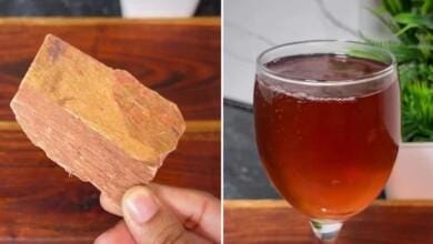 Arjun Ki Chaal: अर्जुन की छाल से कौन-कौन सी बीमारी का खतरा कम हो सकता है?