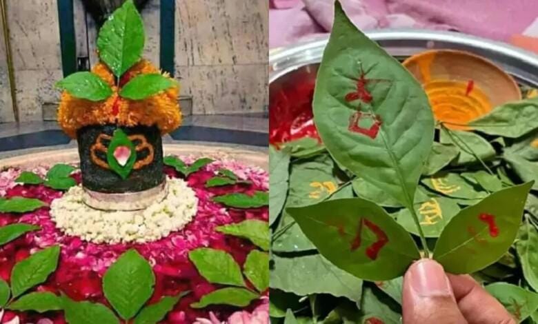 शिवलिंग पर चढ़ा बेलपत्र खाने के फायदे, क्यों महाशिवरात्रि पर लोग करते हैं ये उपाय...
