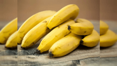 पेट के लिए केला है अमृत समान फल, रोज 1 केला खाने से डॉक्टर से रहेंगे दूर, गट हेल्थ में होगा सुधार