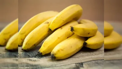 पेट के लिए केला है अमृत समान फल, रोज 1 केला खाने से डॉक्टर से रहेंगे दूर, गट हेल्थ में होगा सुधार