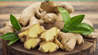 सुबह अदरक का छोटा सा टुकड़ा चबाने से क्या होता है? दूर हो सकती हैं सेहत से जुड़ी कई समस्याएं...