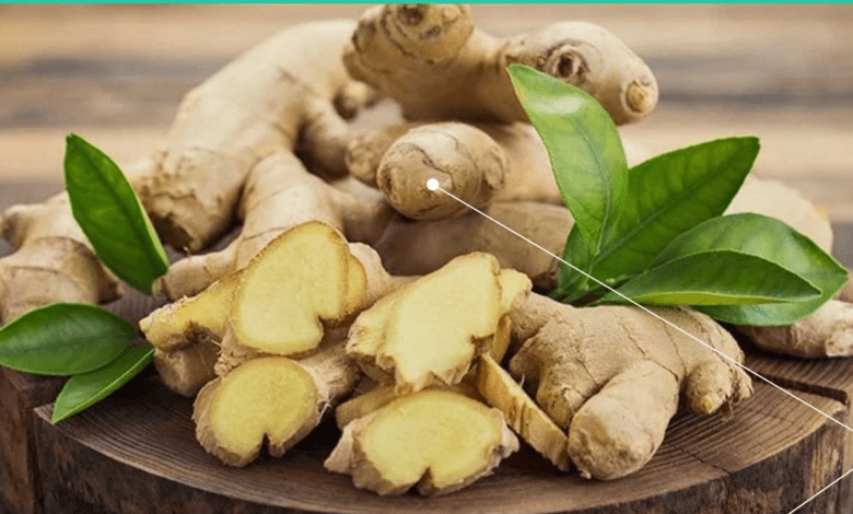 सुबह अदरक का छोटा सा टुकड़ा चबाने से क्या होता है? दूर हो सकती हैं सेहत से जुड़ी कई समस्याएं...