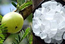 आंवला और मिश्री का कॉम्बिनेशन है कमाल का, सेहत को मिलते हैं कई गजब के फायदे, जानें कैसे करें इस्तेमाल?