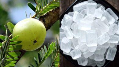 आंवला और मिश्री का कॉम्बिनेशन है कमाल का, सेहत को मिलते हैं कई गजब के फायदे, जानें कैसे करें इस्तेमाल?