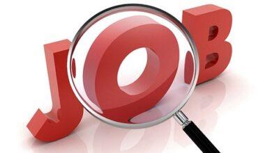 रोजगार मेला 10 अप्रैल को लाईवलीहुड कॉलेज धमतरी में 200 पदों पर होगी भर्ती