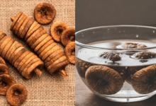 किस समय पीना चाहिए अंजीर का पानी, रग-रग में भर जाएगी ताकत, सेहत के लिए वरदान फिग वॉटर...