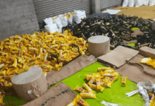 ‘मुसाफिर-M4’ के नाम पर चल रहा जहर का कारोबार बेनकाब, 13 मजदूर पकड़े… मास्टरमाइंड फरार!...