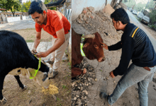 अंधेरी सड़कों पर जिम्मेदारी की रोशनी: भिलाई इस्पात संयंत्र कर्मी मोहम्मद रफ़ी की पहल से उभरता सामुदायिक सरोकार...