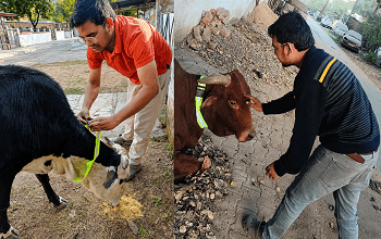 अंधेरी सड़कों पर जिम्मेदारी की रोशनी: भिलाई इस्पात संयंत्र कर्मी मोहम्मद रफ़ी की पहल से उभरता सामुदायिक सरोकार...