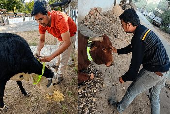 अंधेरी सड़कों पर जिम्मेदारी की रोशनी: भिलाई इस्पात संयंत्र कर्मी मोहम्मद रफ़ी की पहल से उभरता सामुदायिक सरोकार...