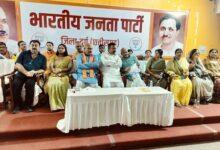 बुथ से लेकर जिलास्तर तक दिखे और गुंजे भाजपा की स्थापना दिवस की आवाज - गजेंद्र यादव