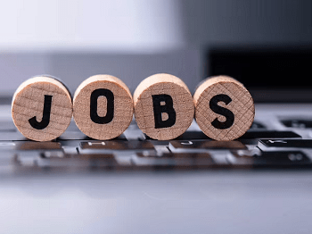 Forest Guard Recruitment 2026: 12वीं पास के लिए 708 पदों पर भर्ती, बिना बड़ी फीस का सुनहरा मौका...