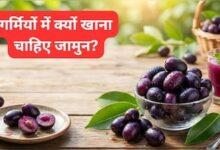 गर्मियों में क्यों खाना चाहिए जामुन, जान लें इसके सेवन से क्या क्या फायदे होते हैं