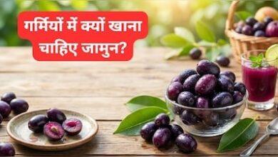 गर्मियों में क्यों खाना चाहिए जामुन, जान लें इसके सेवन से क्या क्या फायदे होते हैं