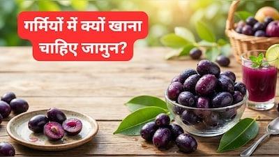 गर्मियों में क्यों खाना चाहिए जामुन, जान लें इसके सेवन से क्या क्या फायदे होते हैं