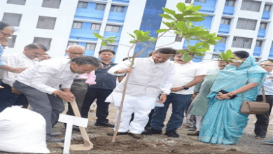 विश्व पर्यावरण दिवस पर उप मुख्यमंत्री ने किया पौधारोपण पर्यावरण संरक्षण एवं स्वच्छता की दिलाई शपथ...