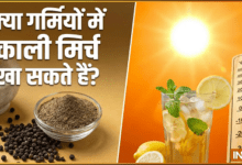 क्या गर्मियों में काली मिर्च का सेवन कर सकते हैं, जानिए इससे क्या फायदे और नुकसान होंगे...