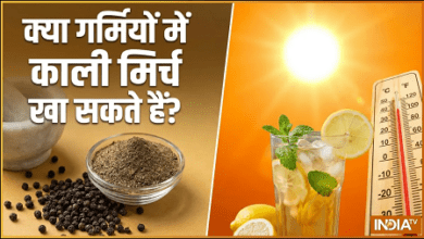 क्या गर्मियों में काली मिर्च का सेवन कर सकते हैं, जानिए इससे क्या फायदे और नुकसान होंगे...