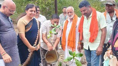 पर्यावरण की रक्षा करना पर्यावरण को हरा भरा बनाए रखना सब का मुख्य दायित्व - सुरेंद्र कौशिक