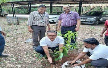 विश्व पर्यावरण दिवस पर परियोजना विभाग द्वारा वृक्षारोपण अभियान का आयोजन...