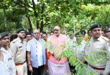केंद्रीय मंत्री गिरिराज सिंह के रायपुर प्रवास पर सांसद बृजमोहन अग्रवाल के नेतृत्व में विभिन्न जनहितकारी कार्यक्रमों का आयोजन