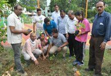 भिलाई को हरा-भरा बनाने पौधारोपण अभियान जारी, सेक्टर-04 उद्यान में लगाए गए पौधे...