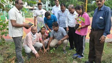भिलाई को हरा-भरा बनाने पौधारोपण अभियान जारी, सेक्टर-04 उद्यान में लगाए गए पौधे...