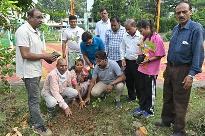 भिलाई को हरा-भरा बनाने पौधारोपण अभियान जारी, सेक्टर-04 उद्यान में लगाए गए पौधे...