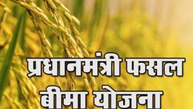 फसल बीमा कराने की अंतिम तिथि 31 जुलाई 2026