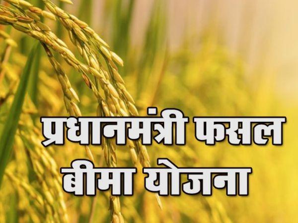 फसल बीमा कराने की अंतिम तिथि 31 जुलाई 2026 1 फसल बीमा कराने की अंतिम तिथि 31 जुलाई 2026