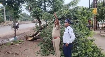 यातायात पुलिस की तत्परता से टला बड़ा हादसा हाईटेंशन विद्युत तार पर गिरे पेड़ को तत्काल हटाकर आवागमन कराया गया सुरक्षित