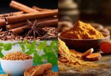 सेहत के लिए बेहद फायदेमंद है दालचीनी, मेथी और हल्दी का मिश्रण, मिल सकते हैं ये बेनिफिट्स...