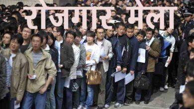 20 अगस्त को रोजगार मेला, 85 पदों पर भर्ती; 10वीं-12वीं और ग्रेजुएट युवाओं के लिए मौका...