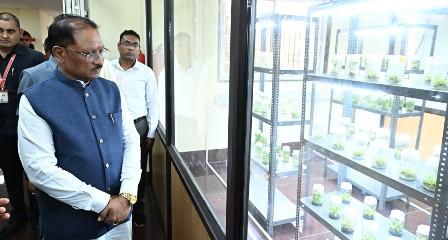 युवा केवल नौकरी मांगने वाले नहीं, रोजगार देने वाले बनें : मुख्यमंत्री श्री विष्णु देव साय...