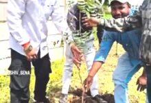 दुर्ग-भिलाई में 10 हजार पौधों से हरियाली का संकल्प, वृक्षारोपण महाअभियान शुरू...