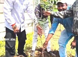 दुर्ग-भिलाई में 10 हजार पौधों से हरियाली का संकल्प, वृक्षारोपण महाअभियान शुरू... 13 दुर्ग-भिलाई में 10 हजार पौधों से हरियाली का संकल्प, वृक्षारोपण महाअभियान शुरू...